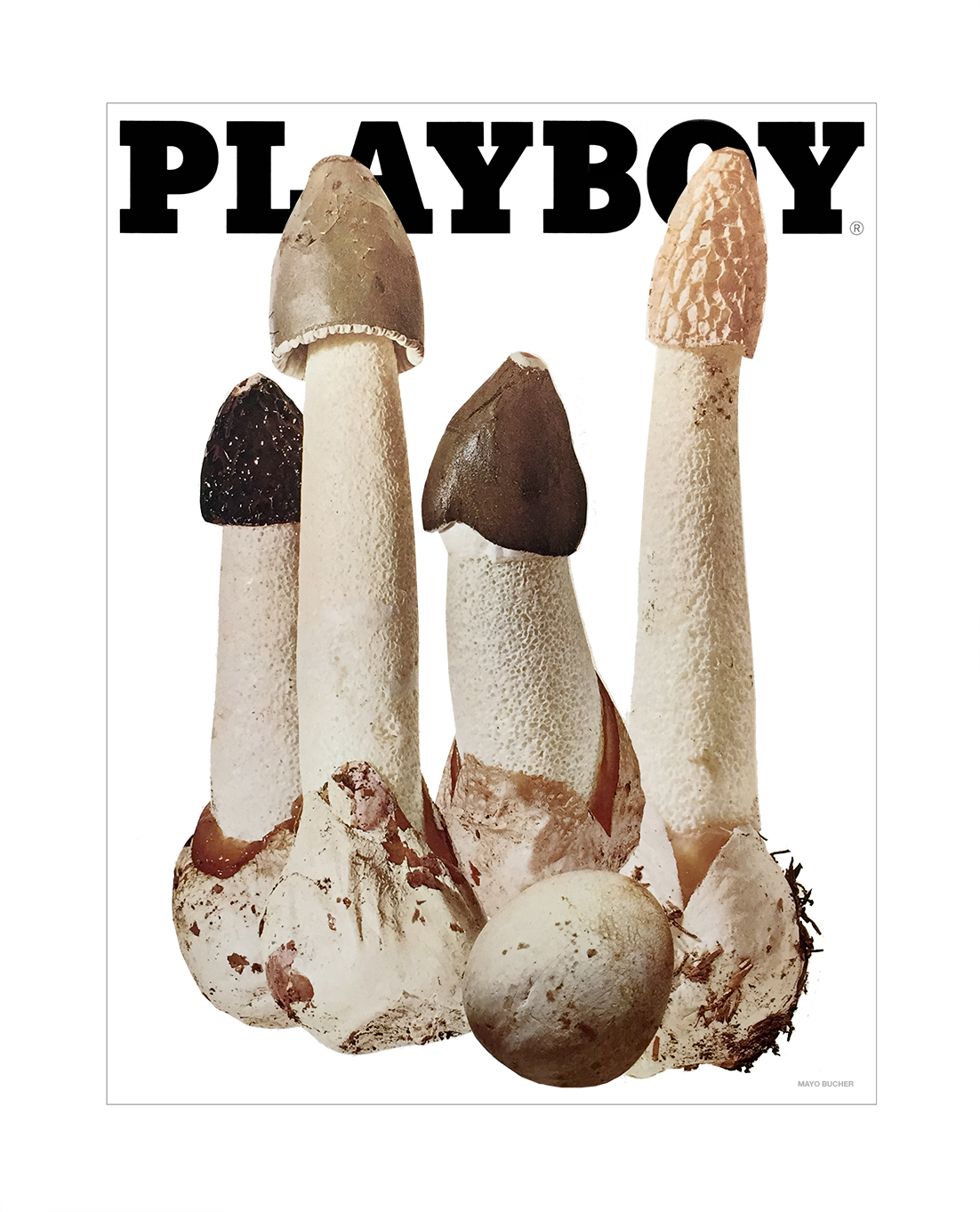 2_PLAYBOY pilze.jpg